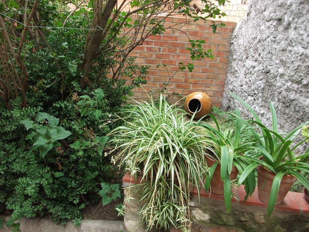 Ca La Paula Villa Pla del Panadés Exterior foto